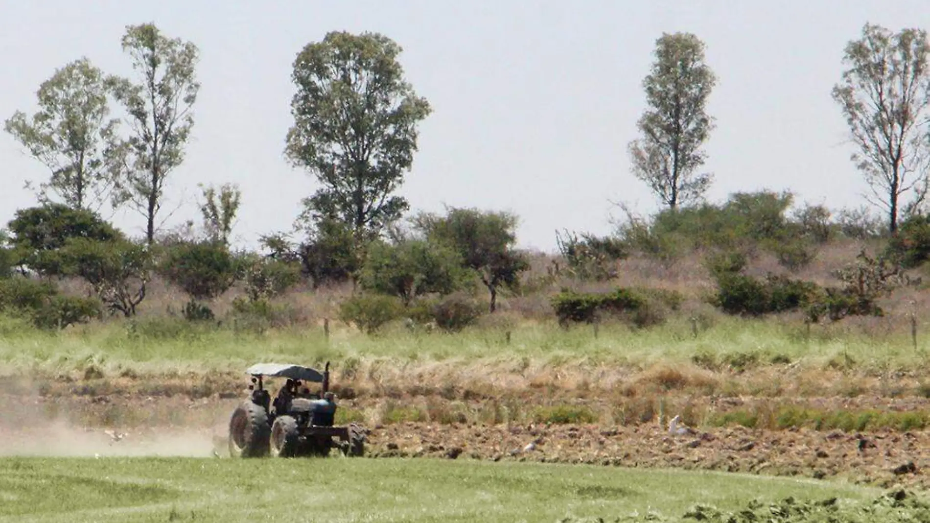 campo tractor